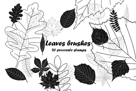 Download Leaves Brushes Stamp for Procreate - Leaves brushes Collection