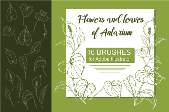 Download Antarium Flowers and Leaves Brushes - Leaves brushes Collection